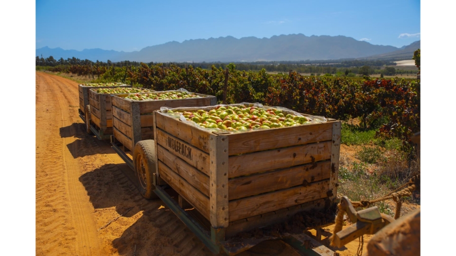 Commercial Property for Sale in Wolseley Western Cape